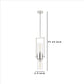 Pendant with Cylindrical Rotatable Glass Shade Chrome BM241872