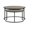 Rina Concrete and Black Metal 2 Piece Nesting Coffee Table Set By Casagear Home BM246003