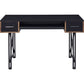 Computer Desk with 2 Drawers and Keyboard Tray Black By Casagear Home BM250324