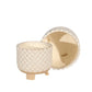 Planter with Textured Design and Footed Base Set of 2 Off White By Casagear Home BM263813