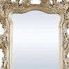 56 Inch Wall Mirror Ornate Carving Champagne Gold By Casagear Home BM275049