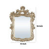 56 Inch Wall Mirror Ornate Carving Champagne Gold By Casagear Home BM275049