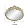 Isa 60 Inch Classic Mirror with Ornate Carved Trim Design Wood Gold By Casagear Home BM275703