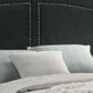 Lily Platform King Upholstered Bed Padded Headboard Black Gold By Casagear Home BM275735