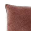 Hillary 20 Inch Velvet Welt Decorative Lumbar Throw Pillow Auburn Red By Casagear Home BM276938