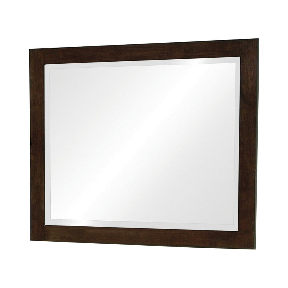 40 Inch Solid Wood Modern Mirror, Portrait, Framed, Cappuccino Brown By Casagear Home