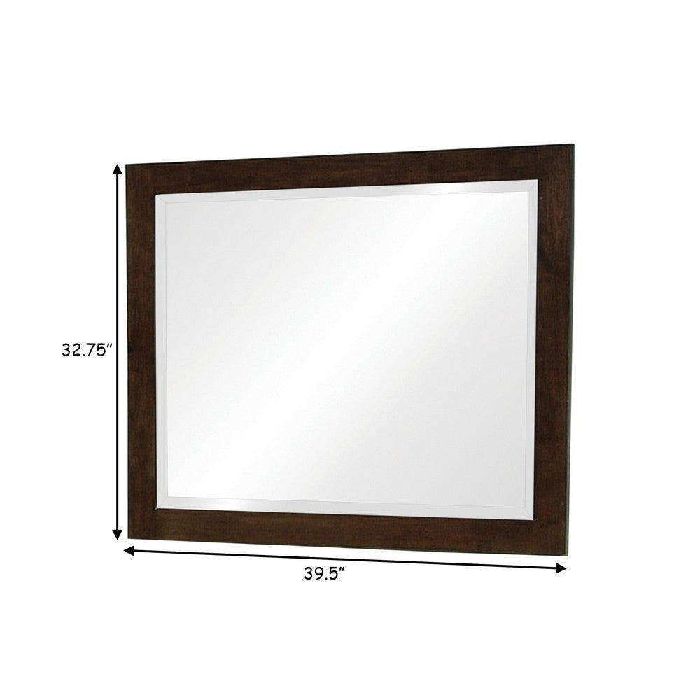 40 Inch Solid Wood Modern Mirror Portrait Framed Cappuccino Brown By Casagear Home BM280469