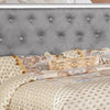 Eli Crystal Tufted Queen Bed LED Mirror Inlays Wood Gray Velvet Silver By Casagear Home BM283198