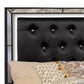 Eli Crystal Tufted Queen Bed LED Mirrored Inlays Wood Velvet Black By Casagear Home BM283202