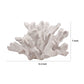 Lily 9 Inch Faux Coral Accent Figurine Polyresin Tabletop Sculpture White By Casagear Home BM284968