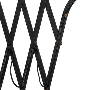 18 Inch Wall Mounted Lamp Extendable Accordion Arm Iron Antique Black By Casagear Home BM285137