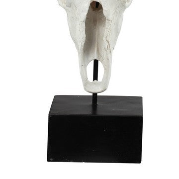 26 Inch Resin Cow Skull Accent Table Decoration Metal Block Base White By Casagear Home BM285592