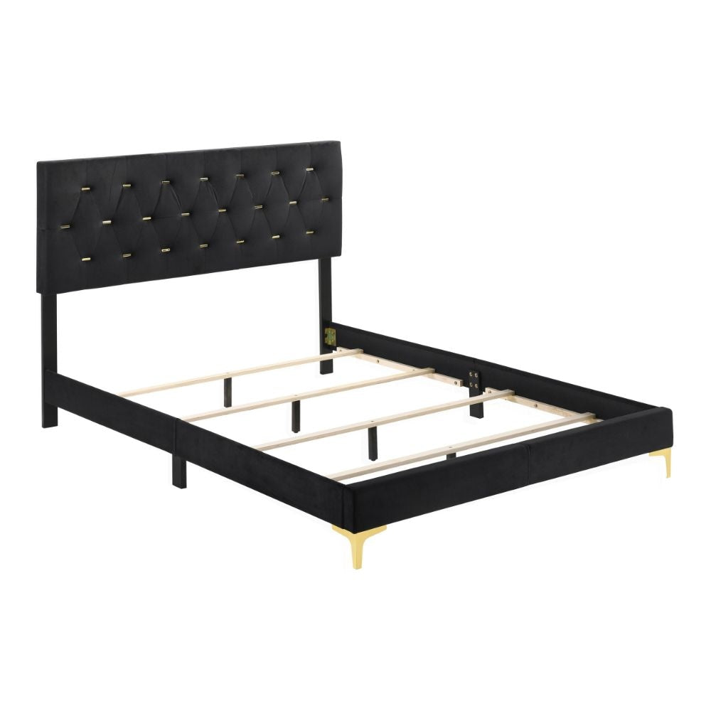 Lif Platform King Size Bed Panel Tufted Headboard Gold Black Velvet By Casagear Home BM297256