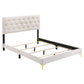 Lif Platform Queen Size Bed Panel Tufted Headboard Gold Legs White Velvet By Casagear Home BM297258