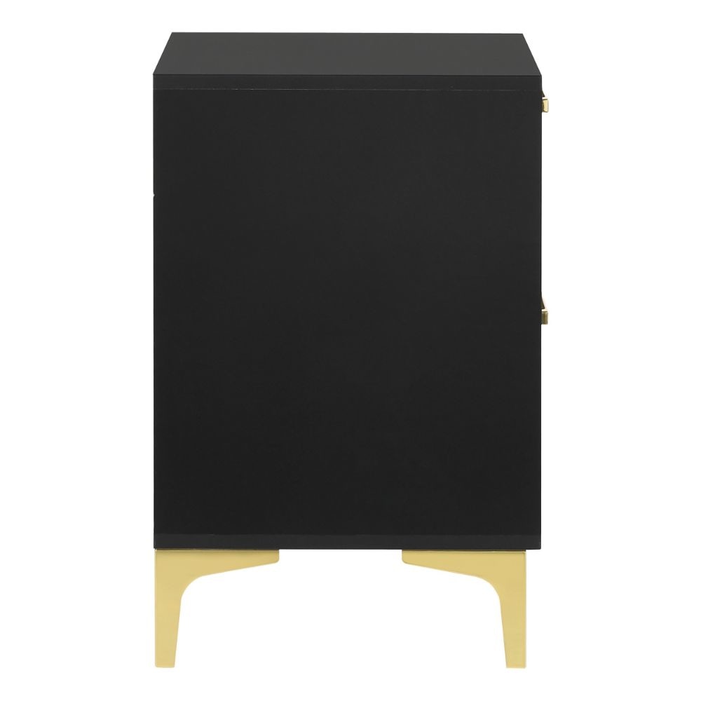 Lif 25 Inch Modern 2 Drawer Nightstand Gold Metal Accents Jet Black By Casagear Home BM297270