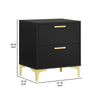 Lif 25 Inch Modern 2 Drawer Nightstand Gold Metal Accents Jet Black By Casagear Home BM297270