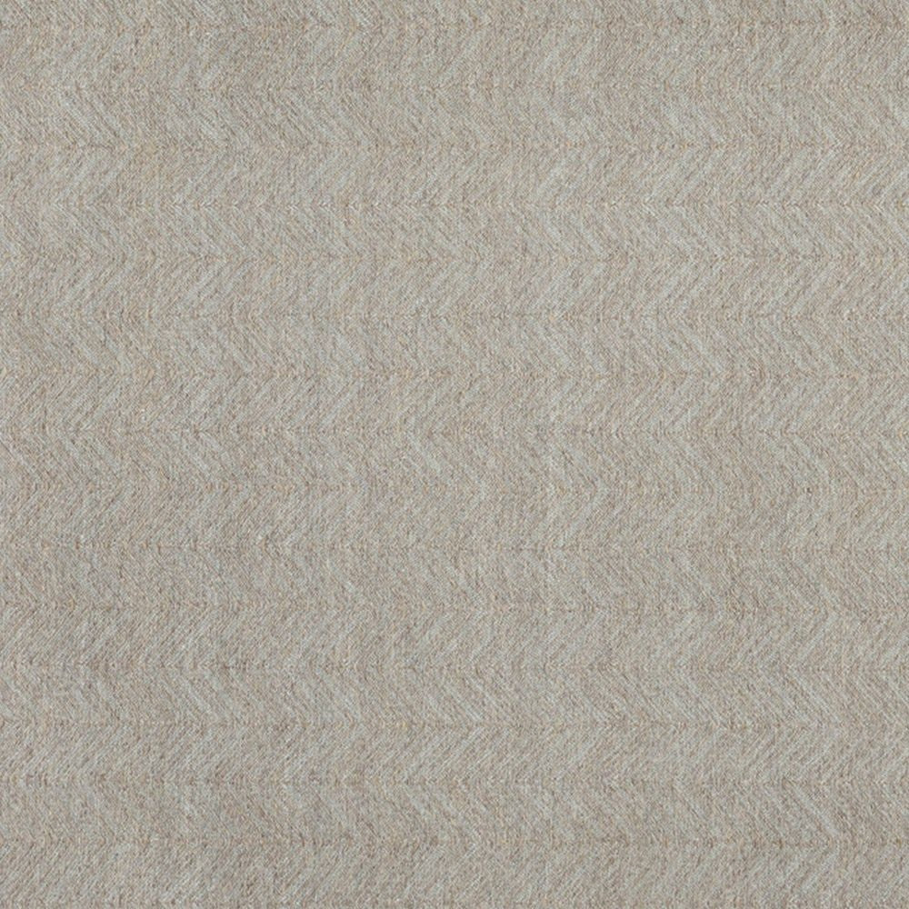 Lusia 2 x 3 Area Rug Handwoven Soft Fringes Herringbone Light Gray By Casagear Home BM297440