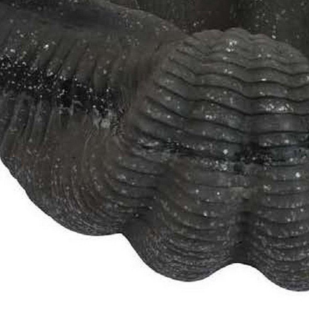 17 Inch Decorative Resin Shell Smooth Curved Design Textured Black By Casagear Home BM309717