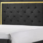 Robin Full Size Bed Platform Base Gold Button Tufted Black Upholstery By Casagear Home BM311846