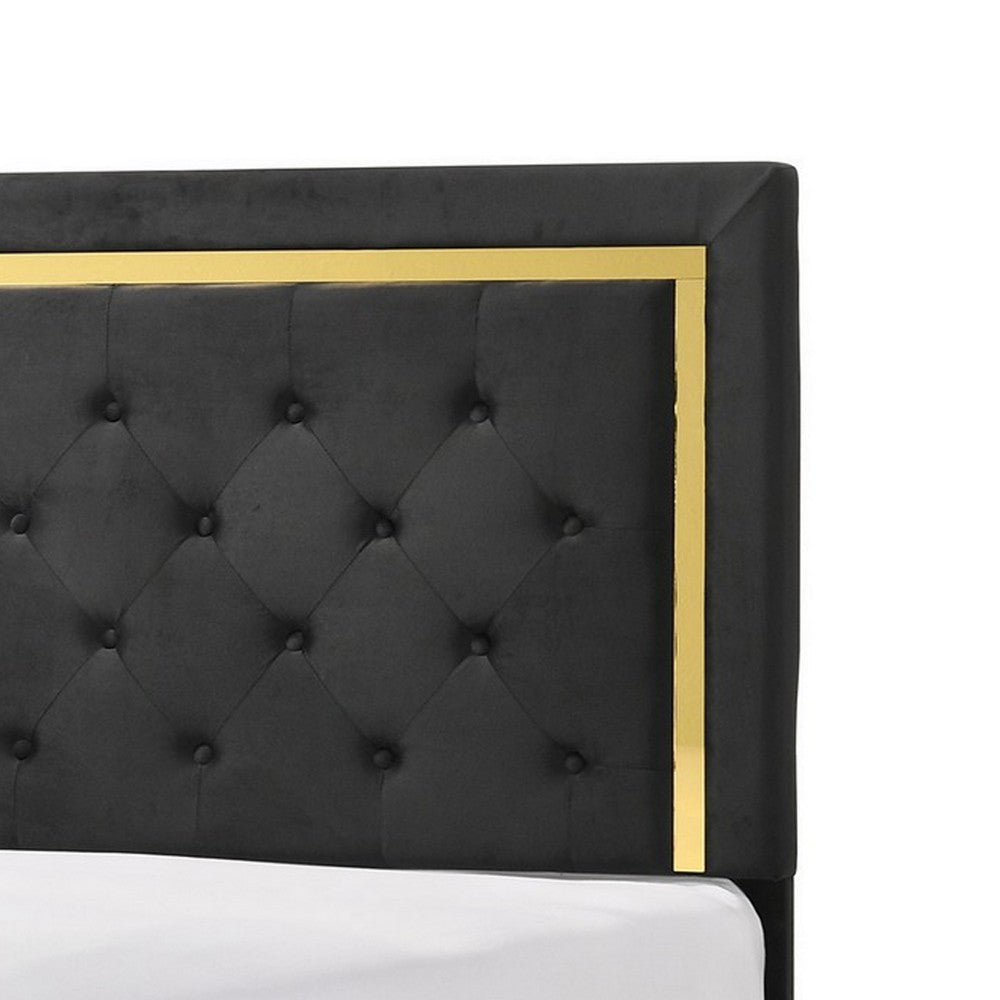 Robin Queen Size Bed Platform Base Gold Button Tufted Black Upholstery By Casagear Home BM311848