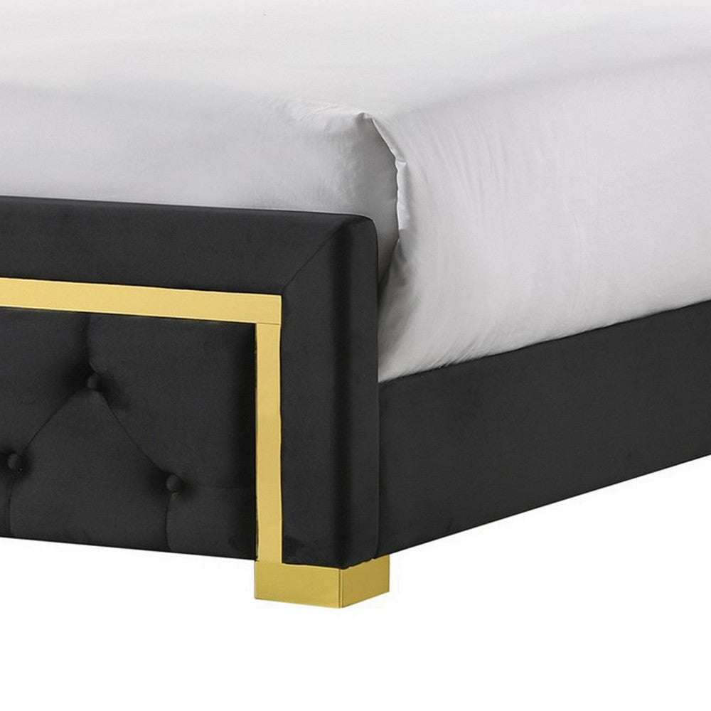 Robin Queen Size Bed Platform Base Gold Button Tufted Black Upholstery By Casagear Home BM311848