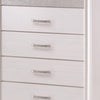 Wooden Drawer Chest with Hidden Jewelry Tray White By Casagear Home CCA-205115