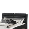 Modern Upholstered Queen Size Bed Black By Casagear Home CCA-300350Q