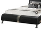 Modern Upholstered Queen Size Bed Black By Casagear Home CCA-300350Q