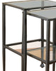 Set Of 2 Metal Nesting Tables With Glass Top Black By Coaster CCA-901073