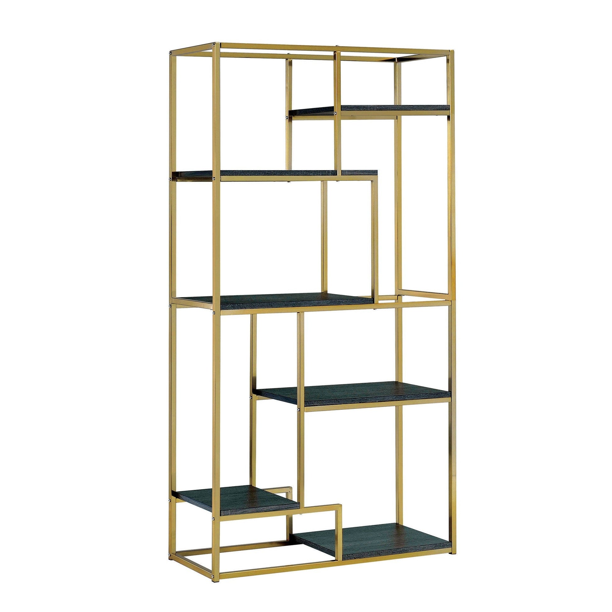 Elvira Contemporary Display Shelf Champgne Finish By Casagear Home FOA-CM-AC6264CPN