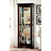 Curio Cabinet  Cappuccino Finish By Casagear Home