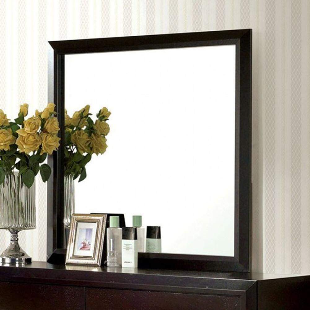 Janine Transitional Style Dark Espresso Mirror By Casagear Home