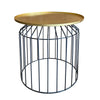 Round Tray Top Metal Accent Side End Table with Tubular Wire Frame Gold and Black I305-HGM022