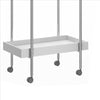 Storage Cart with 2 Tier Design and Metal Frame White and Chrome By The Urban Port UPT-238278