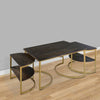 38 inch Rectangle Metal Nesting Coffee Table - 3 pcs set Black and Gold By The Urban Port UPT-271297